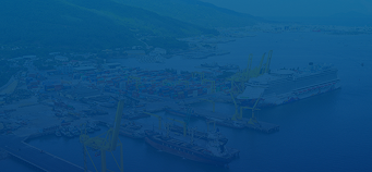 Company profile