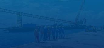 Company profile
